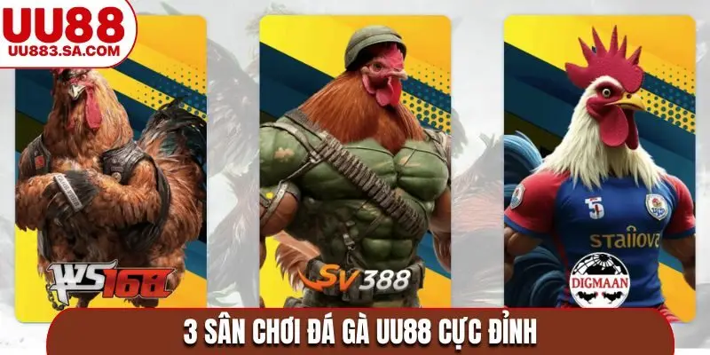 3 sân chơi đá gà UU88 cực đỉnh