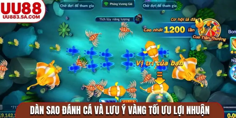 Dàn sao đánh cá và lưu ý vàng tối ưu lợi nhuận