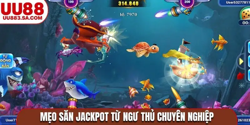 Mẹo săn jackpot từ ngư thủ chuyên nghiệp