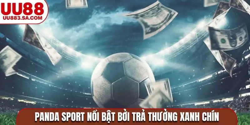 Panda Sport nổi bật bởi trả thưởng xanh chín