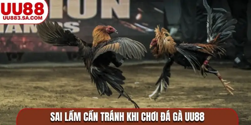 Sai lầm cần tránh khi chơi đá gà UU88